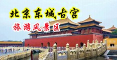 操逼啊啊啊啊中国北京-东城古宫旅游风景区